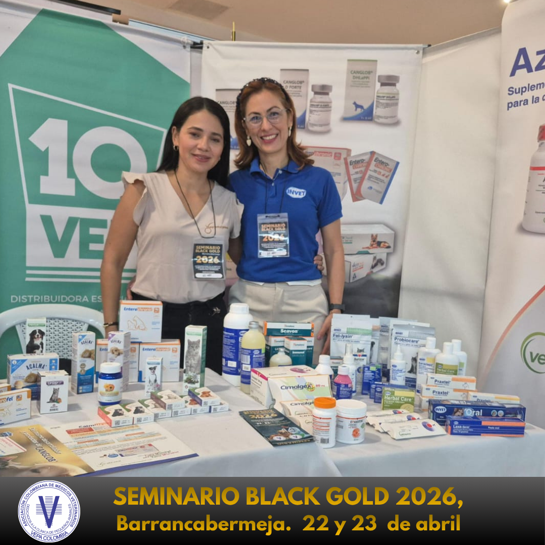 Seminario Black Gold 2026, Barrancabermeja