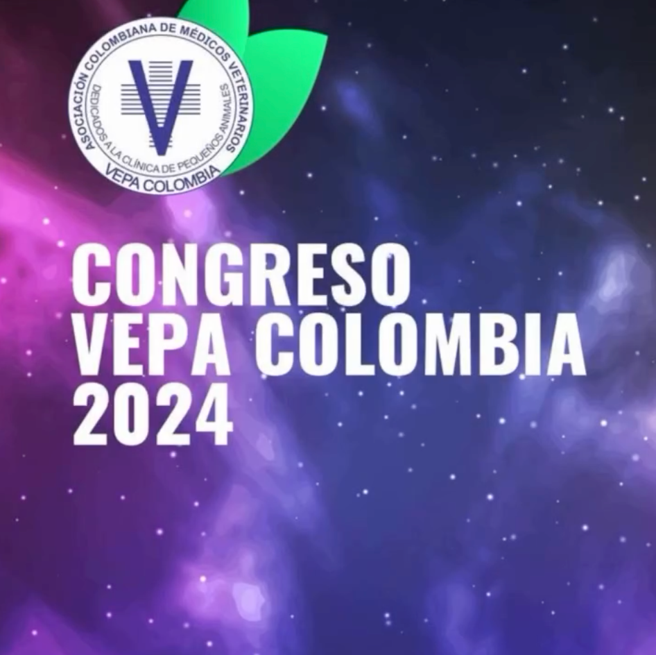 NUEVOS PRODUCTOS! VEPA 2024.