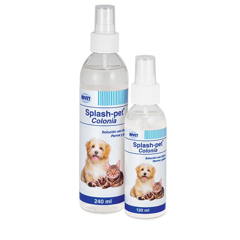 Splash-pet® Colonia