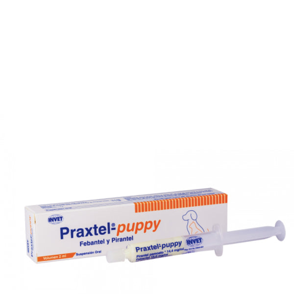 Praxtel-puppy