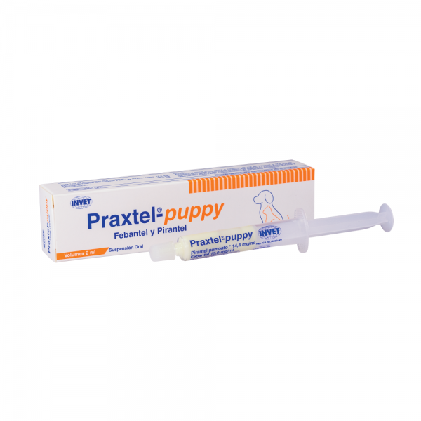 Praxtel-puppy