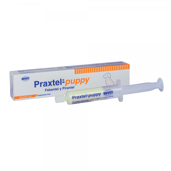 Praxtel-puppy - Imagen 2